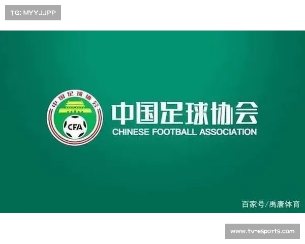 Peacock推竖屏冬奥集锦，技术革新应对流媒体竞争