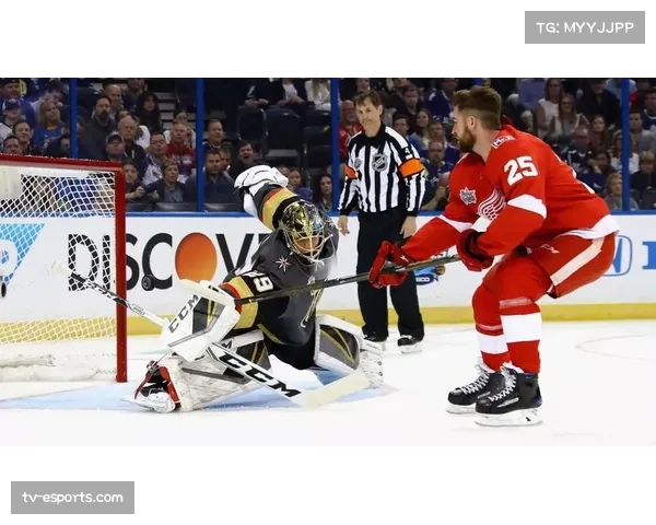 NHL常规赛,温哥华加人队不敌拉斯维加斯金骑士,太平洋区头名易主 NHL常规赛,温哥华加人队不敌拉斯维加斯金骑士,太平洋区头名易主